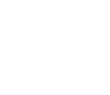 f-consulting_OL_mini.png